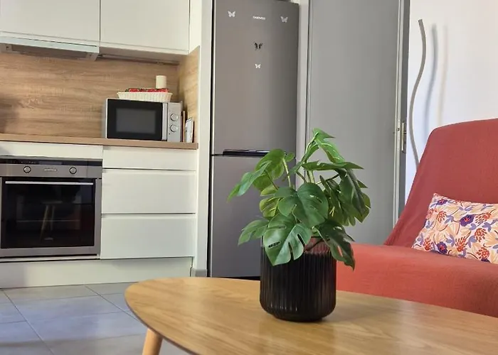 Le 36 - Maison Cosy - Jardin Privatif *